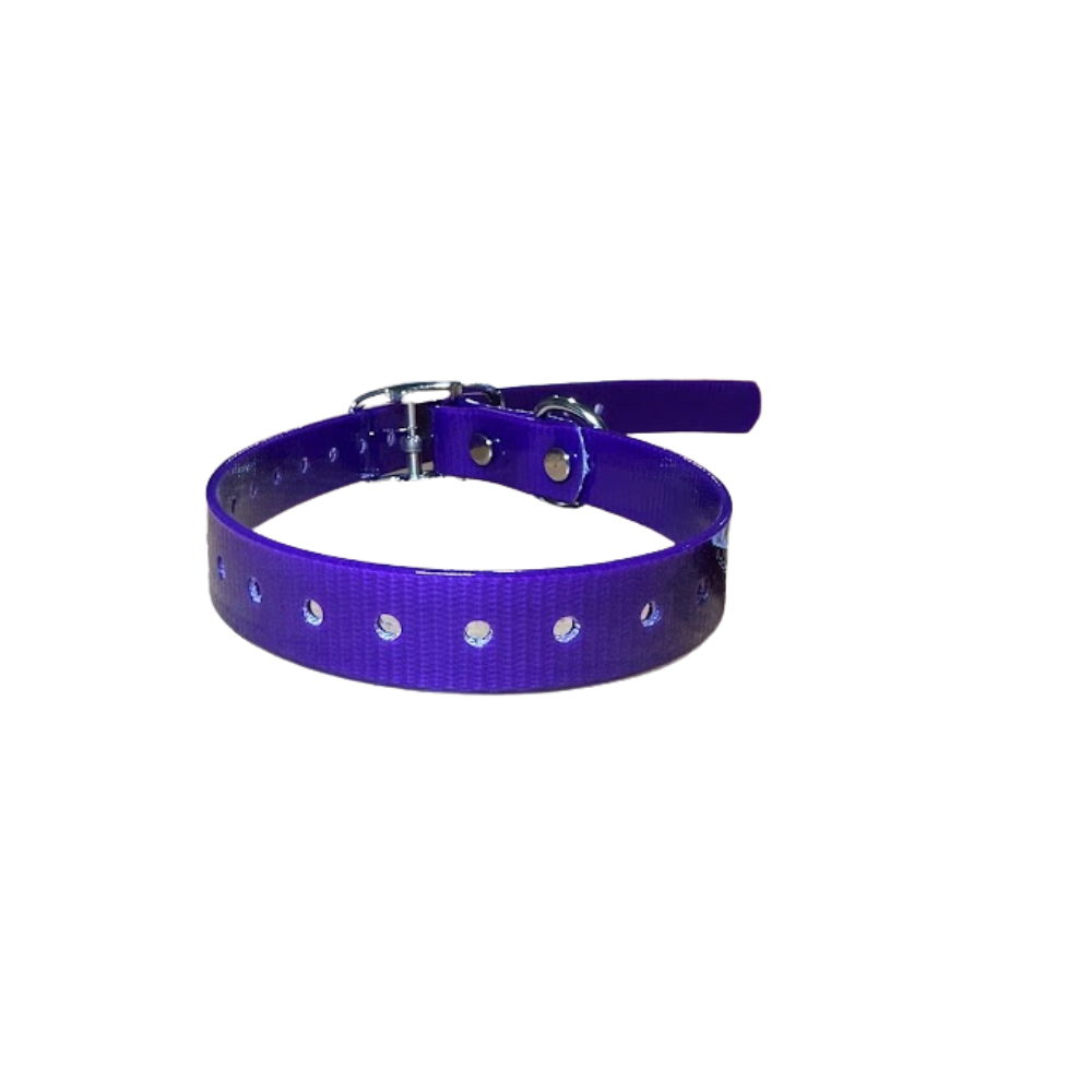 30x1 inch D-Ring Collar / Fits Dogtra & Garmin 1 Inch Collars