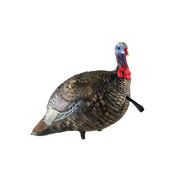 Avian-X LCD Jake Quarter Strut Turkey Decoy, Full