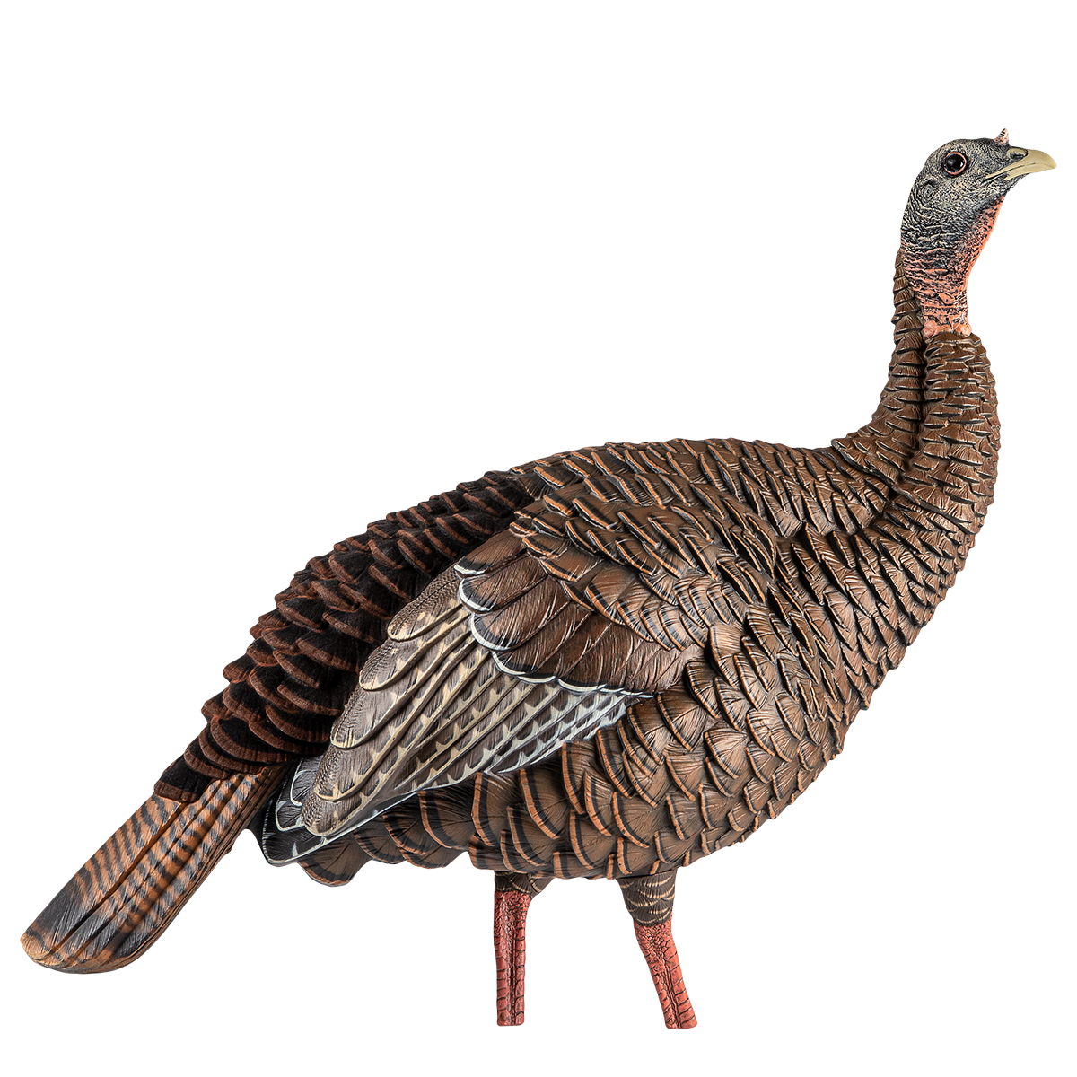 Avian-X HDR HEN DECOY