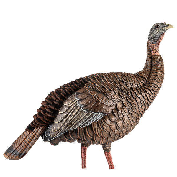 Avian-X HDR HEN DECOY