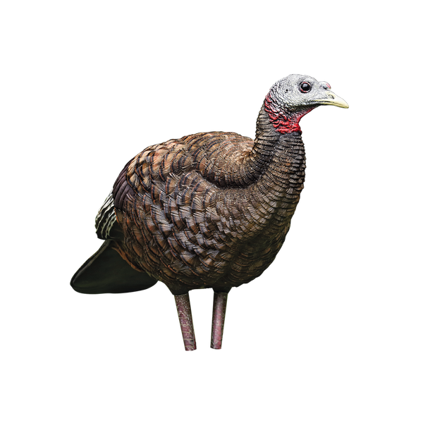 Avian-X LCD Breeder Hen Turkey Decoy, Full Body