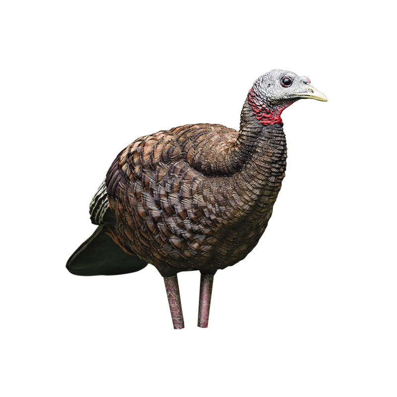 Avian-X LCD Breeder Hen Turkey Decoy, Full Body