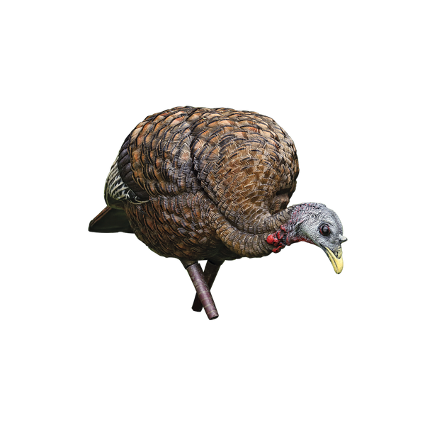 Avian-X LCD Feeder Hen Turkey Decoy, Full Body