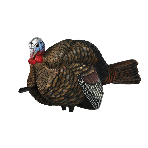 Avian-X LCD 1/2 Strut Jake Turkey Decoy