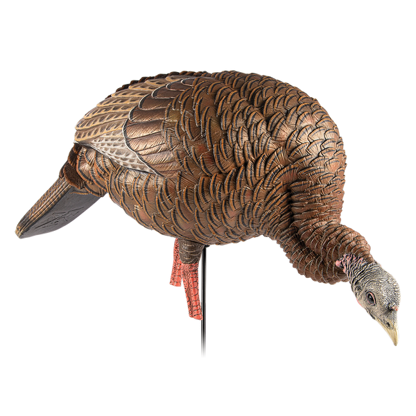 Avian-X HDR FEEDING HEN DECOY