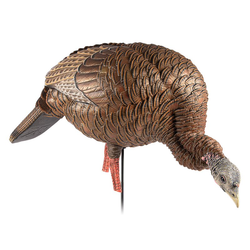 Avian-X HDR FEEDING HEN DECOY