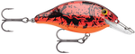 Storm Speed Trap Crankbait