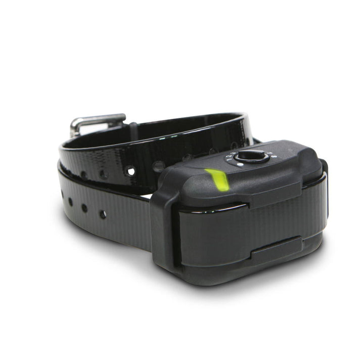 Dogtra EF3500 Additional Collar