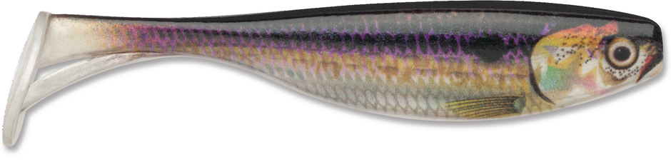 Storm Largo Shad additional view 2