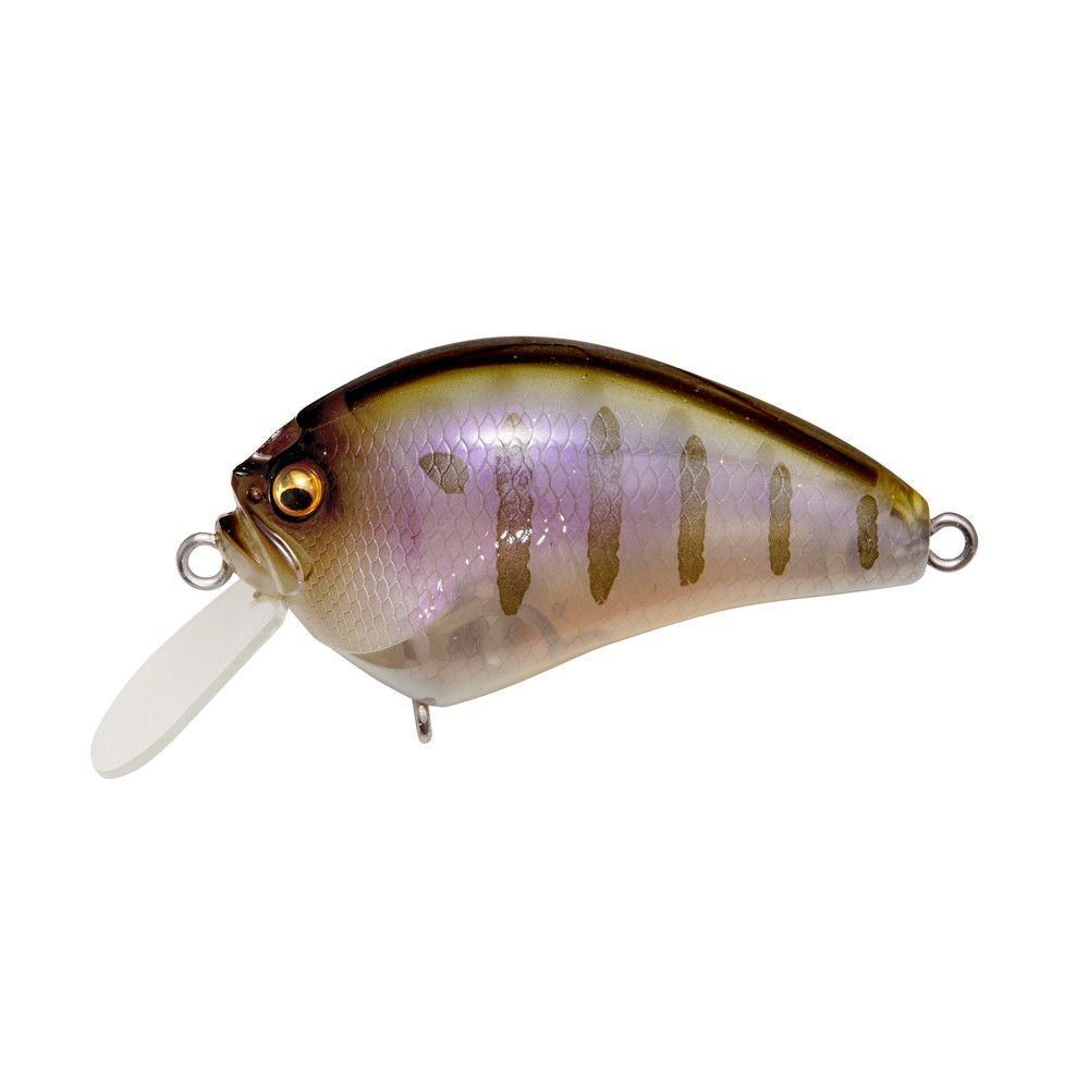 Megabass JDM  IXI Blowly Gillkko