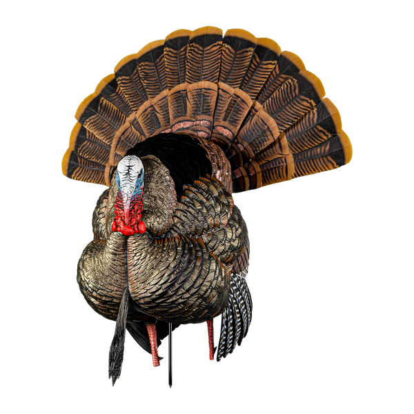 Avian-X AVX HDR Strutter