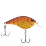 Berkley Frittside 9