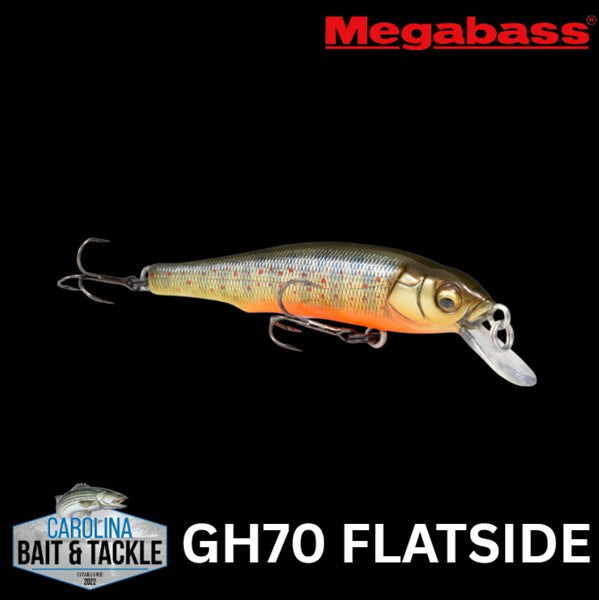 Megabass GH70 FLATSIDE