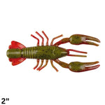 YUM NED CRAW