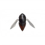 Megabass Grand Siglett