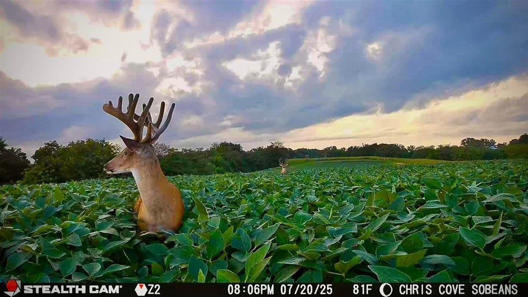 Stealth Cam Revolver Pro 2 Camera