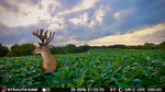 Stealth Cam Revolver Pro 2 Camera