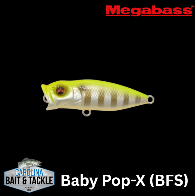 Megabass Baby POP-X