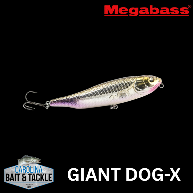 Megabass Giant DOG-X