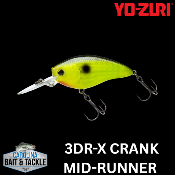 みどり③ Yo-Zuri 3DR-X Crank MR (Mid Runner) (F)