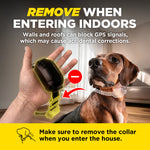 Dogtra GPS Fence