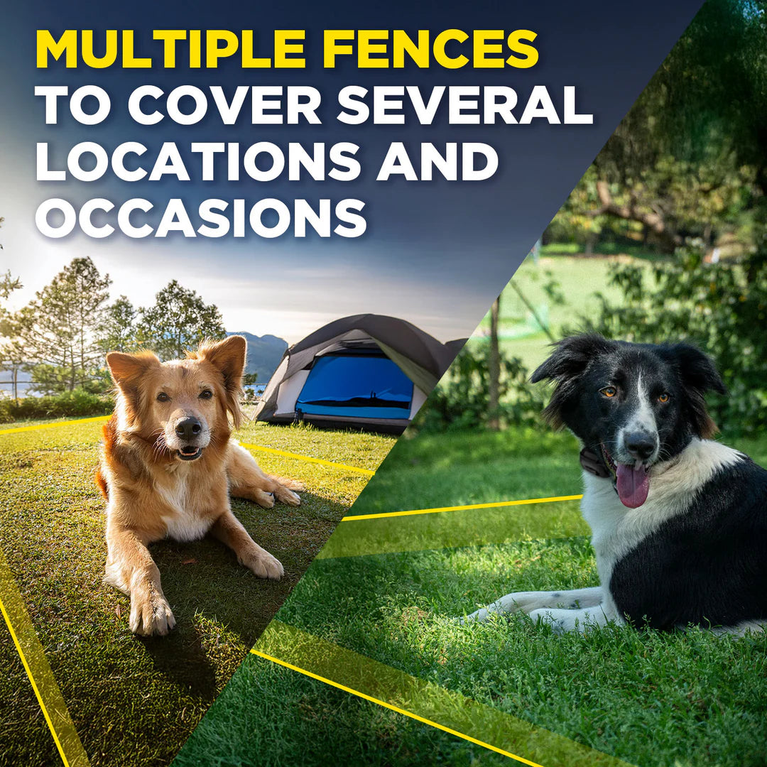 Dogtra GPS Fence