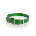 30X1 Inch D-Ring Collar / Dog Replacement/Nameplate Collar Green