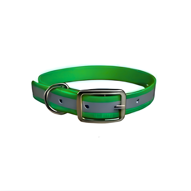 Green Reflective 16x3/4 D Ring Collar