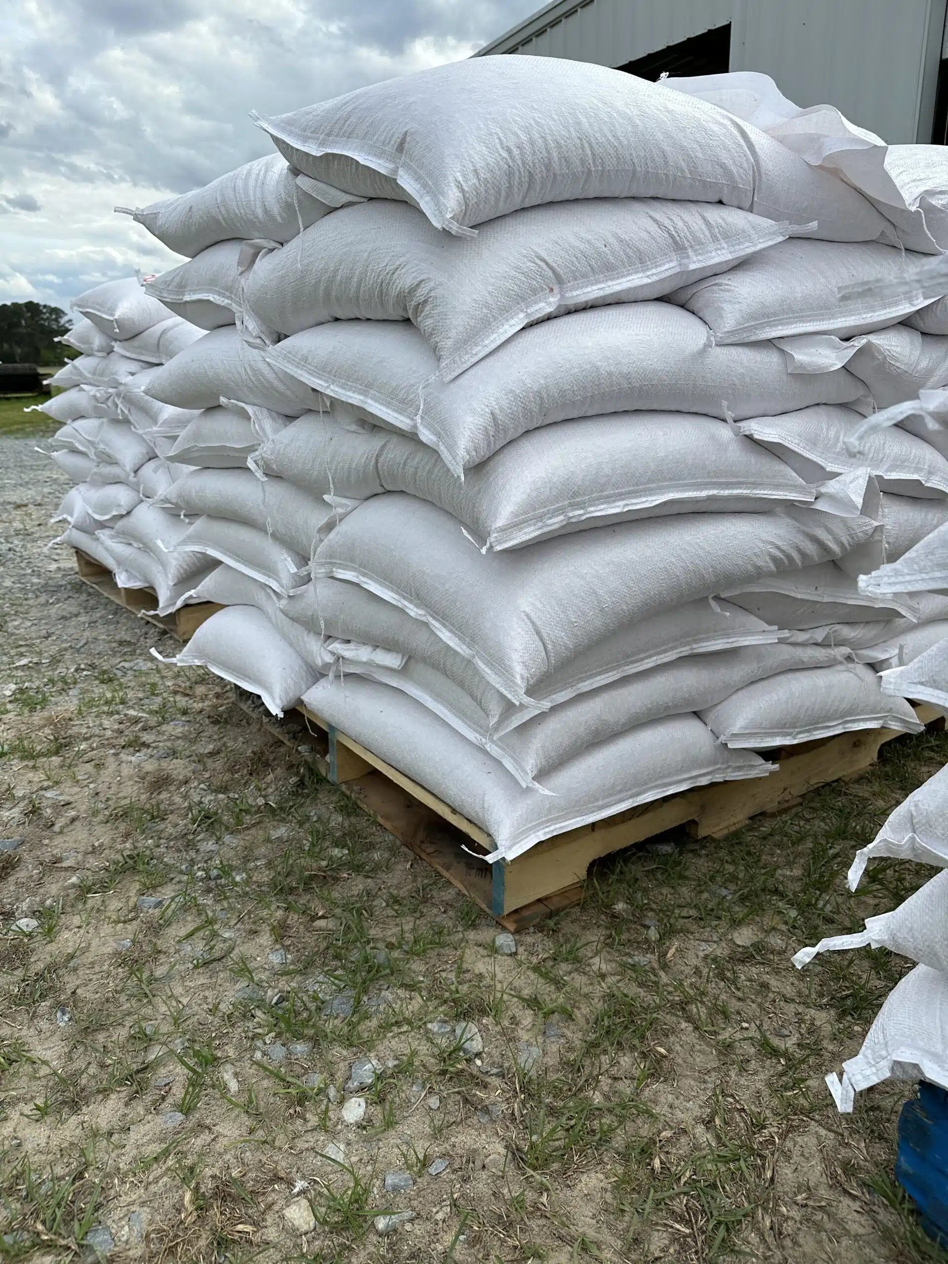 Deer Corn Whole Bushel 50-55 lbs