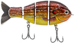 Bucca Baby Bull Gill