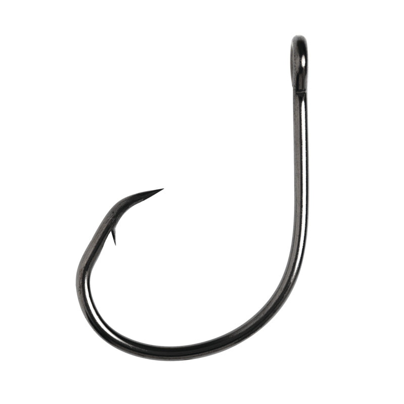 Eagle Claw LAZER Light Wire Offset Circle Sea Hook