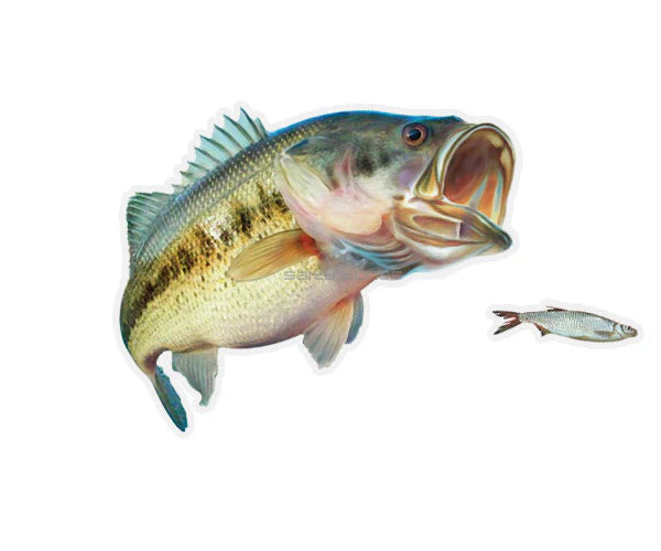 Salty Bones Largemouth Bass Mega Sticker, Right Facing 8.5” X 11”