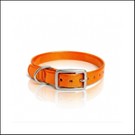 30X1 Inch D-Ring Collar / Dog Replacement/Nameplate Collar Orange