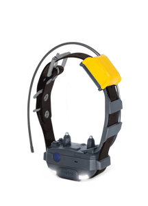 Dogtra Pathfinder2 Mini Collar (Black)