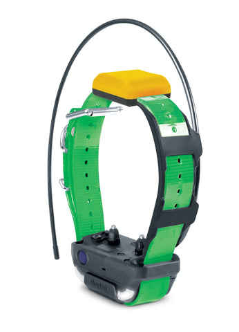 Dogtra Pathfinder 2 Collar (GREEN)