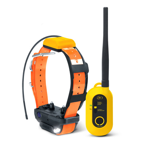 Dogtra Pathfinder 2 System
