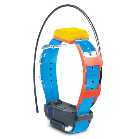 Dogtra Pathfinder 2 TRX Collar (Blue)