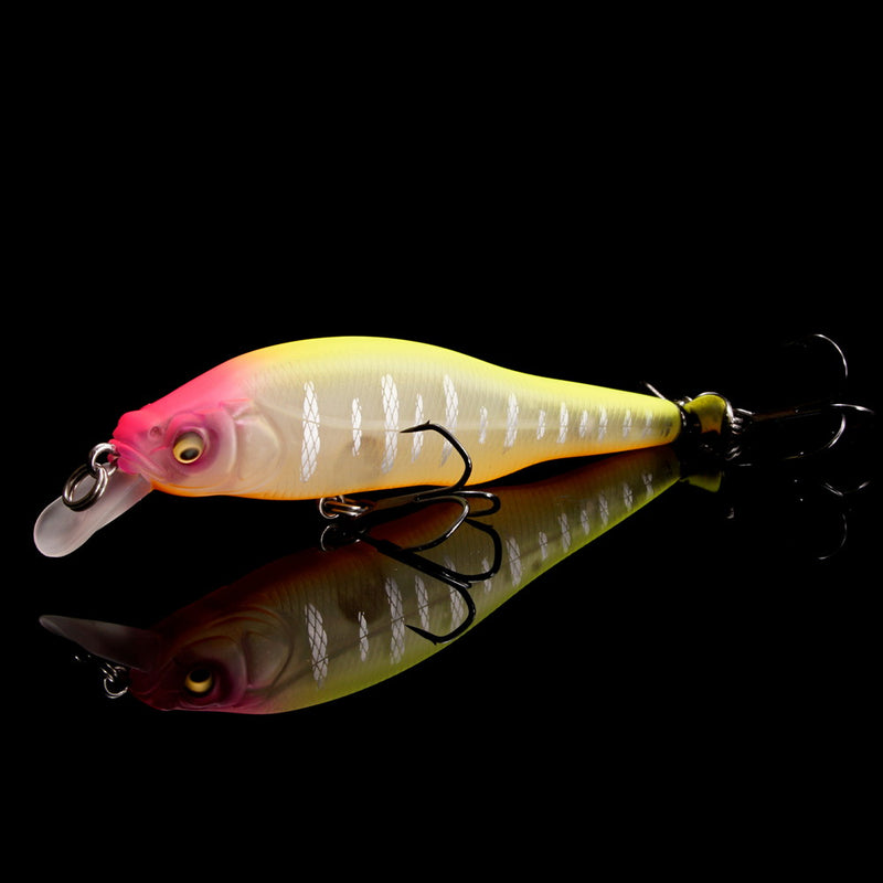 Megabass JDM Prop Darter 80 Special Color IF Hachiro