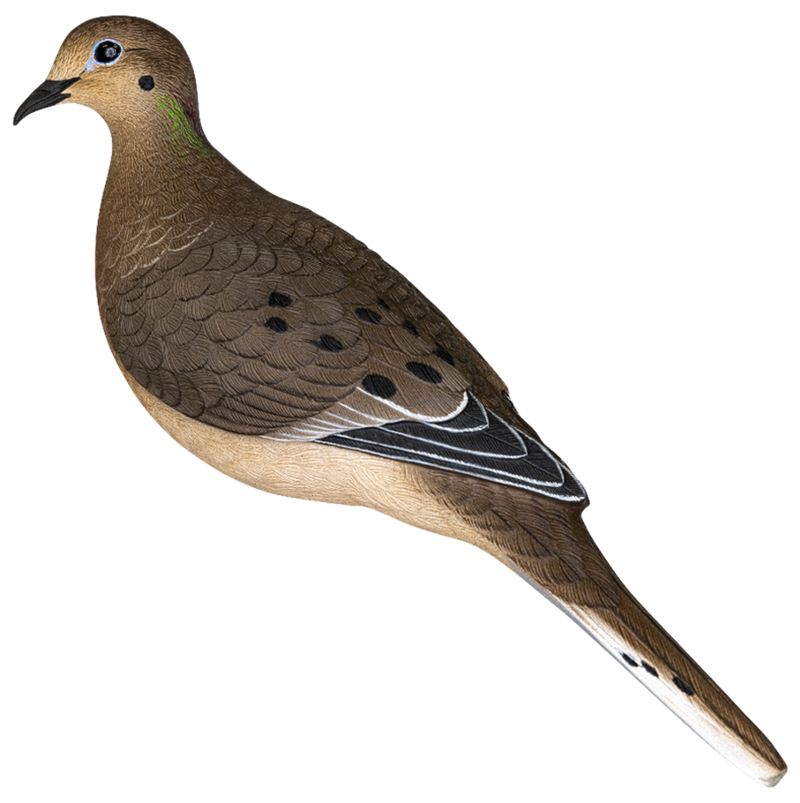 Avian-X Full Body Dove Decoys - 6PK