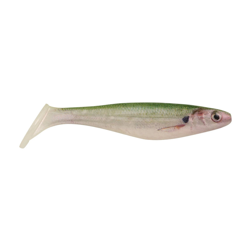 Berkley Powerbait Champ Swimmer