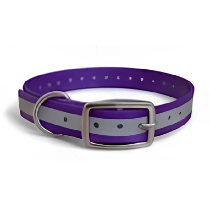 Purple Reflective 16x3/4 D Ring Collar