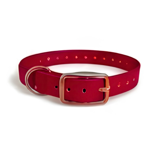 Red 16x3/4 D Ring Collar