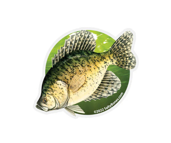 Salty Bones Crappie Tumbler Sticker 3.8” X 4”