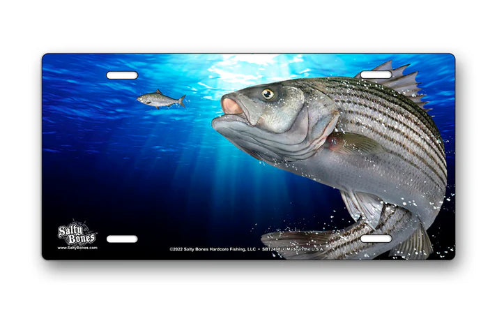 Salty Bones Striped Bass Auto Plate 6" X 12"