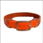 20X1 Inch D-Ring Collar /  Dog Replacement/Nameplate Collar