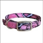 20X1 Inch D-Ring Collar /  Dog Replacement/Nameplate Collar