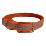20X1 Inch D-Ring Collar /  Dog Replacement/Nameplate Collar