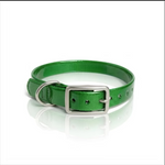 16X3/4 Inch D-Ring Dog Collar