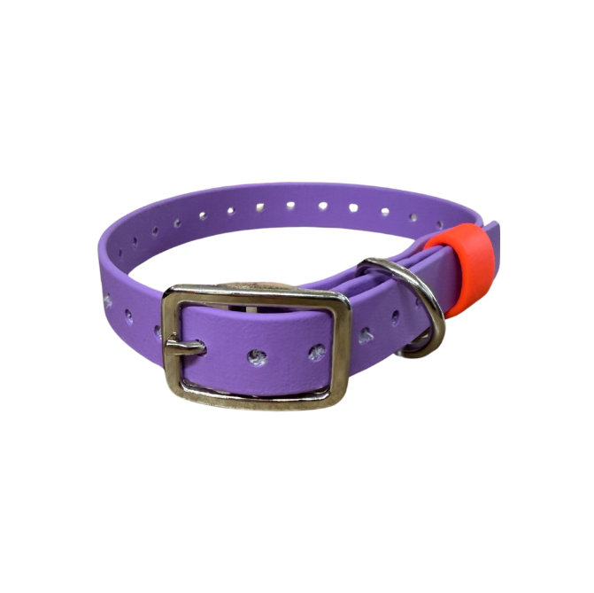 BioThane 1" x 20" ST D-Ring Collar with Beta Loop — Hunting & Active P