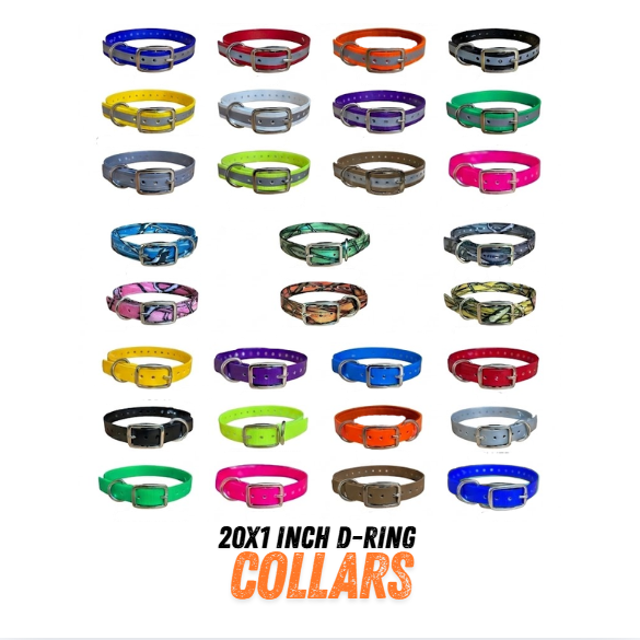 20X1 Inch D-Ring Collar /  Dog Replacement/Nameplate Collar